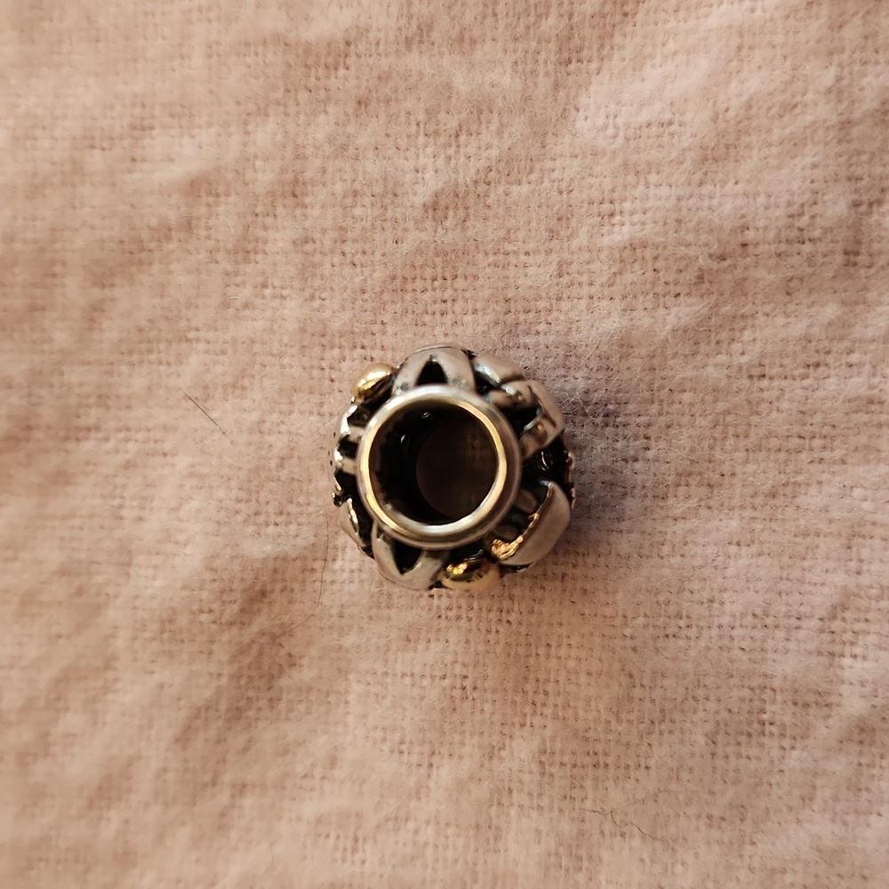 Pandora Family Forever Charm - Picture 9 of 9
